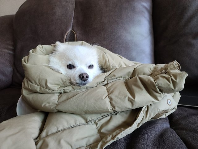 게시물-작성자-프로필이미지